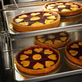 EHTE_pies_1.jpg