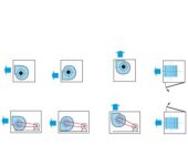 636846169429502955_4.jpg