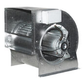 RS2520_title_1.jpg